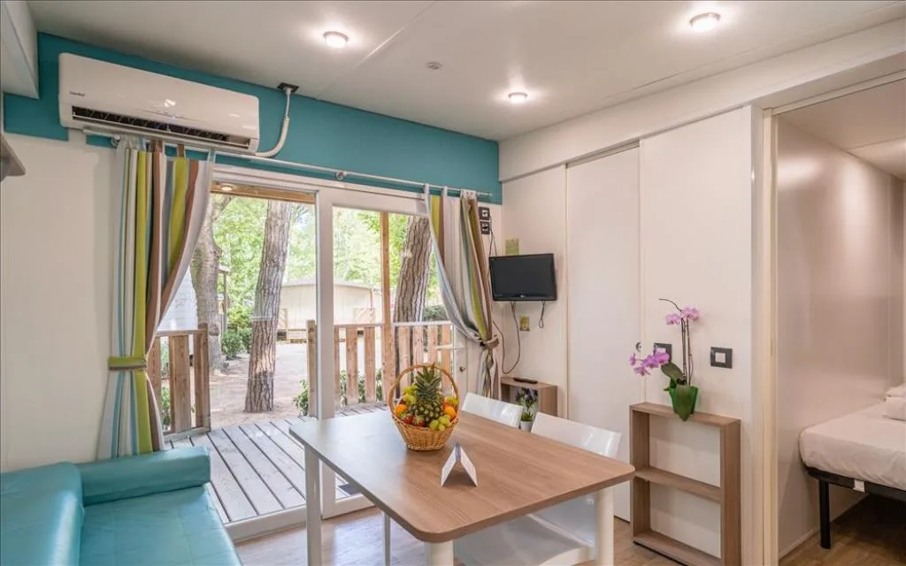 Camera Lodge Deluxe