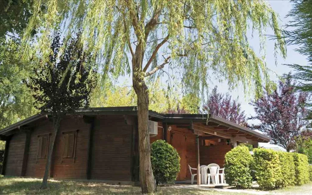 Esterno Chalet Comfort Dog
