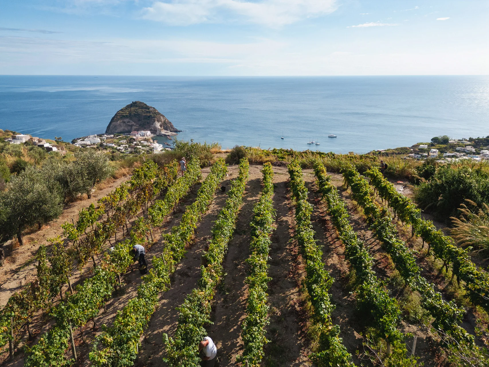 Punta Chiarito Resort Ischia — foto 7