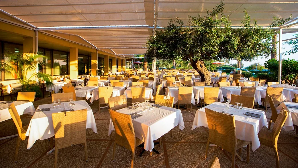 Ristorante esterno con tavoli apparecchiati sotto pergolato e ulivo