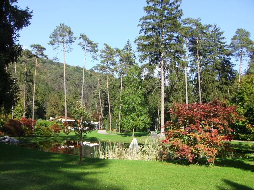 Giardino con laghetto, prato curato e alberi ad alto fusto