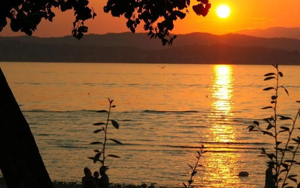 Tramonto sul lago di Garda con silhouette di alberi e riflessi dorati